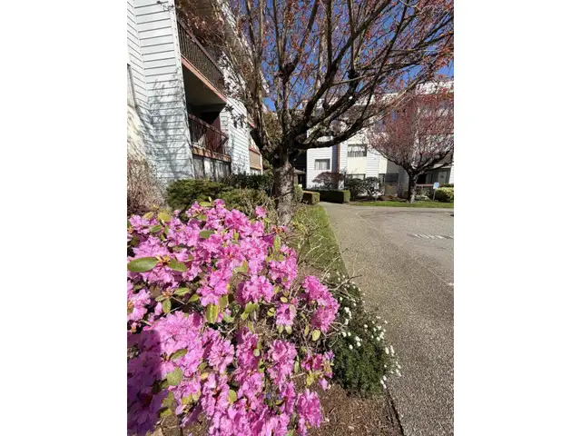302 2279 MCCALLUM ROAD Abbotsford, British Columbia in Condos for Sale in Abbotsford - Image 3