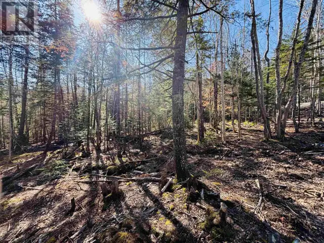 Lot 2 Oldham Road Enfield, Nova Scotia in Land for Sale in City of Halifax - Image 11