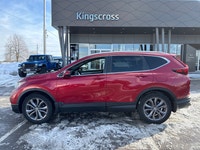 Welcome to Kingscross Hyundai! Engine: 4 Cylinder Engine 1.5L L/100Km City: 8.7 L/100Km Hwy: 7.4 Saf... (image 1)