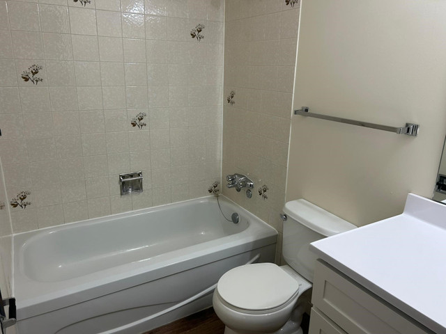 1, 2 & 3 bedroom apartments available in Long Term Rentals in Prince Albert - Image 3