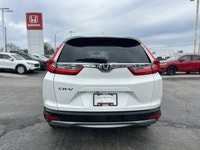 The 2019 Honda CR-V LX in stunning Platinum White Pearl combines versatility and efficiency, making... (image 5)