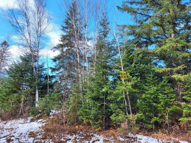 Des Pêcheurs - TERRAIN À VENDRE dans Terrains à vendre  à Lanaudière - Image 2