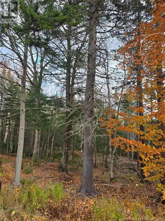 21-01 Worden Road Kingston, New Brunswick in Land for Sale in Saint John - Image 16