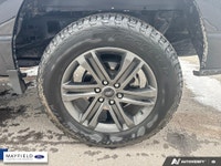 Recent Arrival! 2022 Ford F-150 XLT Carbonized Gray Metallic 302A XLT SPORT PKG 360 Degree Camera Na... (image 5)