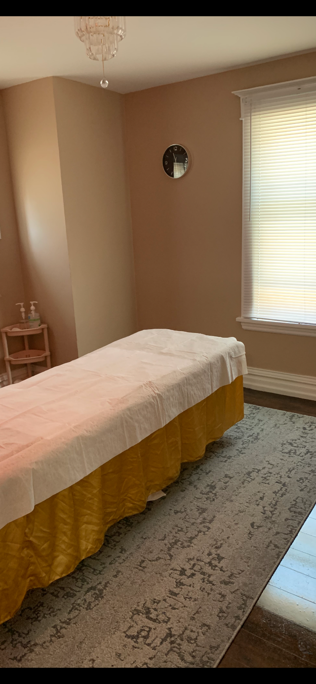 MASSAGE  &  ACUPUNCTURE  Spa in Massage Services in St. Catharines - Image 3