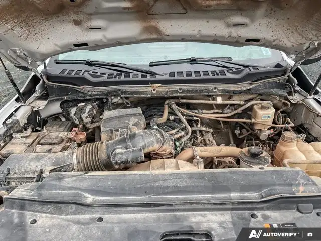 2023 Ford Super Duty F-250 SRW XLT | 7.3L Godzilla V8 Power + in Cars & Trucks in Dartmouth - Image 14