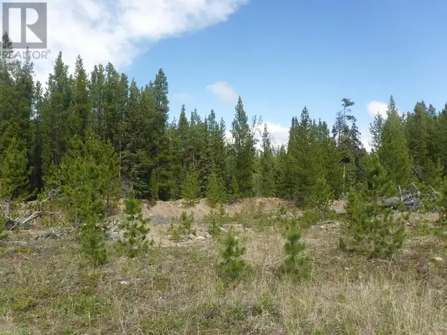 CHILCOTIN HIGHWAY Chilcotin, British Columbia in Land for Sale in Burns Lake - Image 16