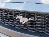 Prices excludes GST and cost/charges associated with financing.CARFAX Link:https://vhr.carfax.ca/?id... (image 4)