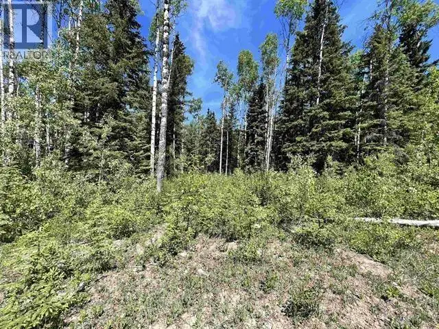 LOT 1 CHARLIE FRONTAGE ROAD Fraser Lake, British Columbia in Land for Sale in Burns Lake - Image 4