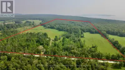 Situated on a quiet No Exit year round road, you'll find this beautiful 99 acres of land in Purple V...