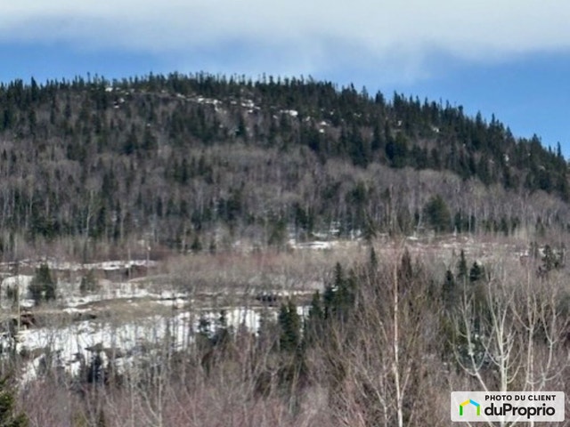 $55,000 - Price taxes not included - Commercial Lot for sale — photo 3