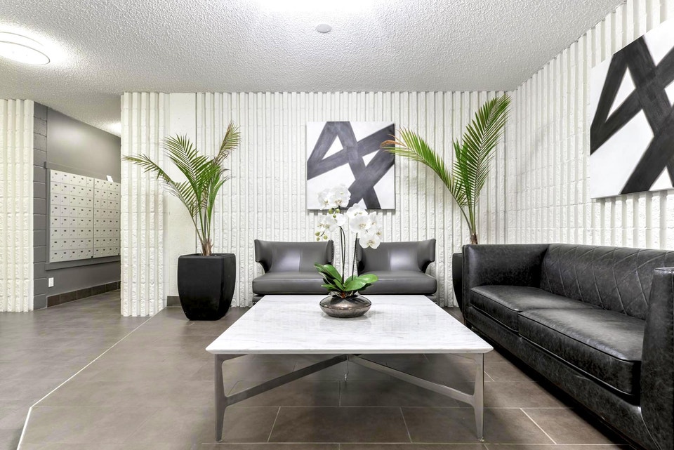 Solano House - 1 Bedroom Premium Apartment for Rent 2