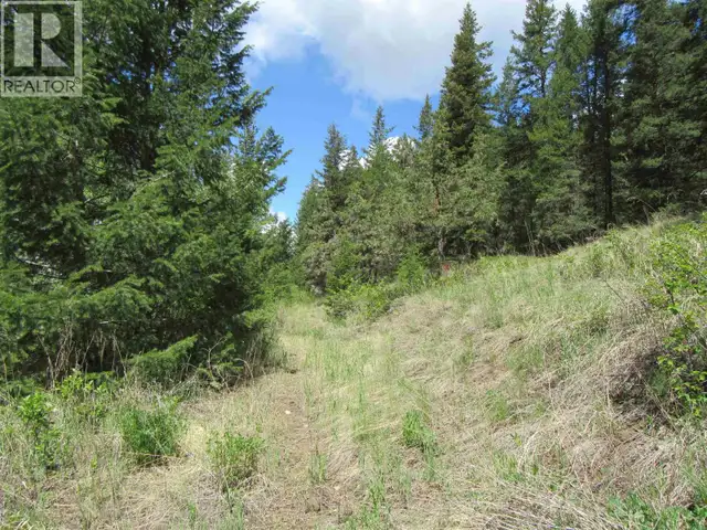 DL 2808 DONOVAN ROAD Lac La Hache, British Columbia in Land for Sale in 100 Mile House - Image 7