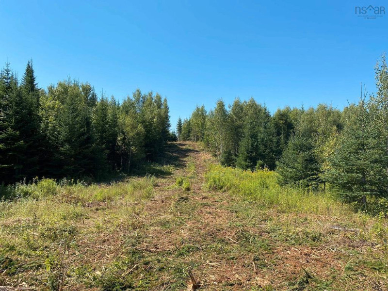 226 Brookville Branch Road, Bridgeville 2.45 acres for sale Land for