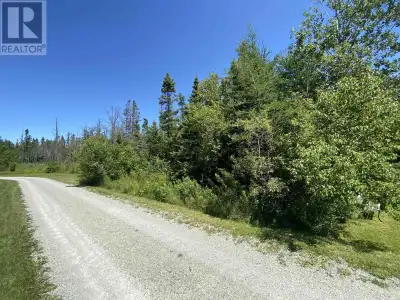 Welcome to your dream property! This large wooded 4-acre lot is perfect for anyone looking for a pea...