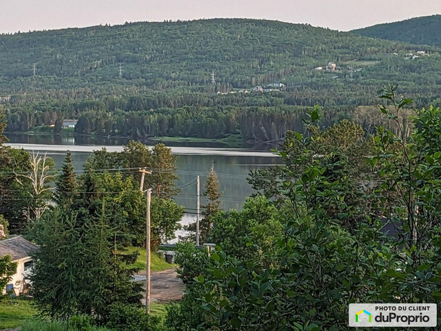 44 800$ - Terre à bois à vendre à Gaspé dans Terrains à vendre  à Gaspésie - Image 2