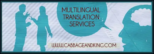 EXPERIENCED TRANSLATOR FOR YOUR BUSINESS OR PERSONAL NEEDS—64667459833601121