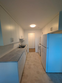 2 Bedroom Apartment for Rent - 169 South Moilliet Street