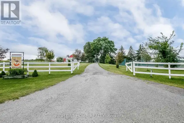 828350 MULMUR NOTTAWASAGA TOWNLINE Mulmur, Ontario in Land for Sale in Barrie - Image 5