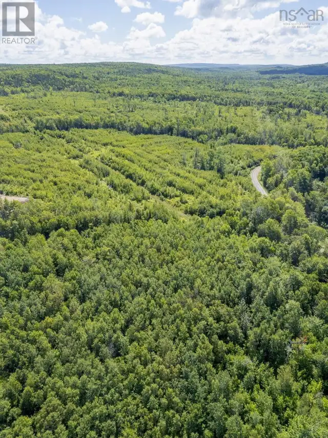 Lot 12-2 245 Highway Highway Malignant Cove, Nova Scotia in Land for Sale in New Glasgow - Image 11