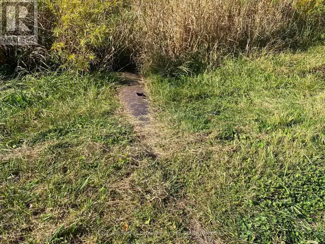 1315 CONCESSION 8 CONCESSION Kincardine, Ontario in Land for Sale in Owen Sound - Image 15