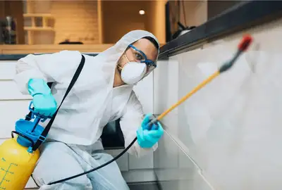 Pest control Roaches Raccoon Mice Pest control 6473637513, View more