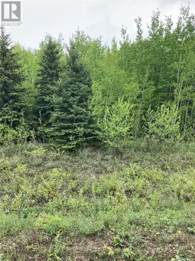 "Can't see the trees for the forest" Here are 80 acres of recreational land covered in forest and so...