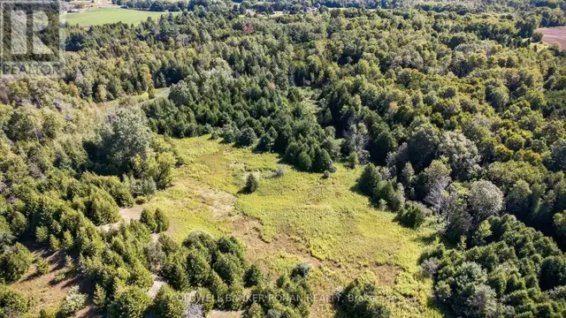 8155 19TH SIDE ROAD King (Schomberg), Ontario in Land for Sale in Barrie - Image 7