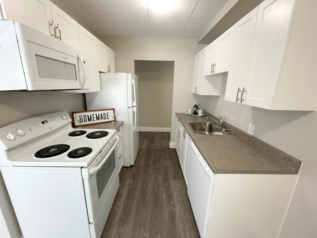 1 Bedroom Apartment in SSM in Long Term Rentals in Sault Ste. Marie - Image 2