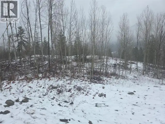 1381 3B Highway Warfield, British Columbia in Houses for Sale in Nelson - Image 32