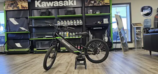 2025 Kawasaki ELEKTRODE 20 in Street, Cruisers & Choppers in Medicine Hat - Image 2