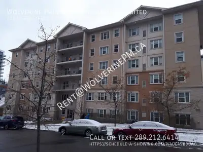 Male Student Housing in Waterloo - Students Only Male Student Housing in Waterloo 5 unit Student con...