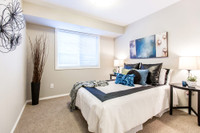Broadstreet's Chappelle Springs offers 1, 2, and 3 bedroom pet friendly apartments for rent in the v... (image 7)