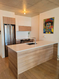 235 Peel, Griffintown, beautiful 1 bed, pool, gym