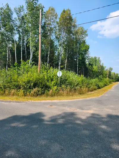 CORNER LOT FOR SALE TERRAIN DE COIN À VENDRE 1 ACRE RUE NORMAND SAINTE ANNE (BATHURST) PRIX $40.000...