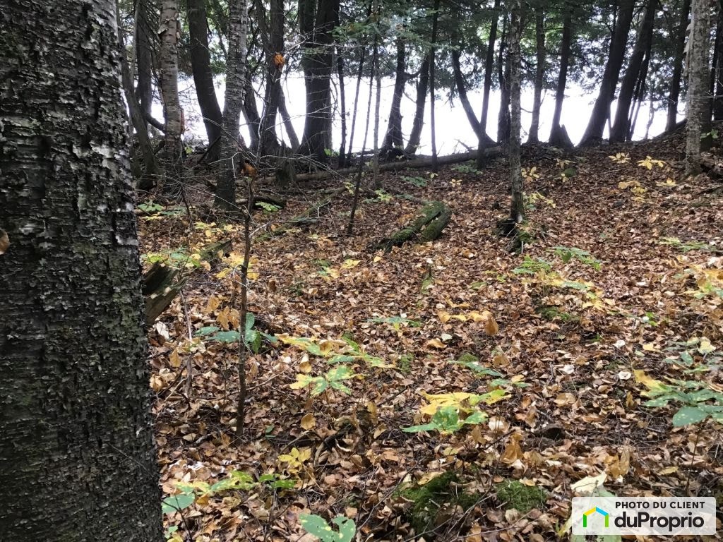 $170,000 - Residential Lot for sale in La Minerve — photo 3