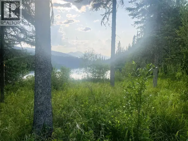 5900 BOWRON LAKE ROAD Wells, British Columbia in Houses for Sale in Quesnel - Image 18