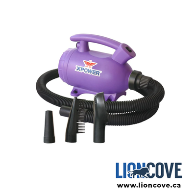 Pet Grooming Dryer - Dog Dryer for Home Use, View more