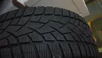 1 x 255/35/19 DUNLOP sp winter tire 75 % tread left good conditi