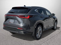 This Lexus NX boasts a Intercooled Turbo Premium Unleaded I-4 2.4 L/146 engine powering this Automat... (image 4)