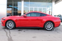 Capital Ford Lincoln Winnipeg Ltd (MB's #1 Rated Ford Store) Helping find the perfect vehicle FOR YO... (image 2)