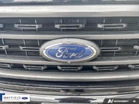 Recent Arrival! 2022 Ford F-150 XLT Carbonized Gray Metallic 302A XLT SPORT PKG 360 Degree Camera Na... (image 7)