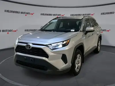// ACCIDENT FREE!! // Meet the 2025 Toyota RAV4 XLE AWD | Heated Steering Wheel, a smart SUV choice...