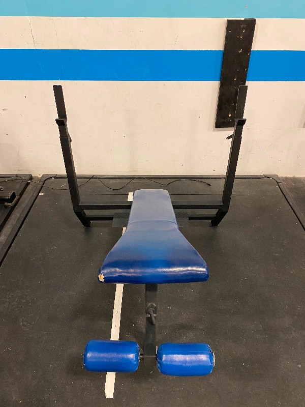 Commercial Bench Press in Exercise Equipment in Edmonton - Image 3