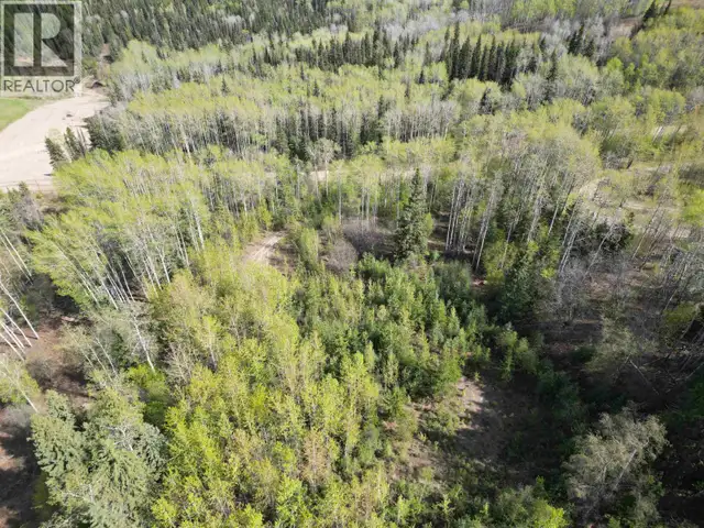 LOT A BALD HILL ROAD Burns Lake, British Columbia in Land for Sale in Burns Lake - Image 3