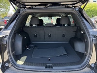 Chevrolet Equinox LT Prices do not include additional fees and costs of closing, including governmen... (image 4)