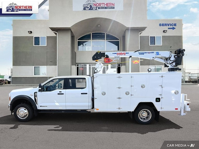 2025 Ford F-550 Chassis XLT 2025 Ford F-550 XLT 4x4 Service T... in Cars & Trucks in Edmonton - Image 3