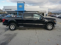 2023 Ford F-150 XLT 3.5L V6 One Owner Versatile, capable, and clean-history this 2023 Ford F-150 XLT... (image 3)