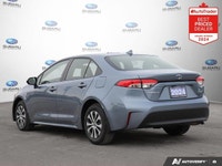 New Price! 2024 Toyota Corolla Hybrid LE FWD Continuously Variable (ECVT) 1.8L 4-Cylinder DOHC 16V H... (image 2)