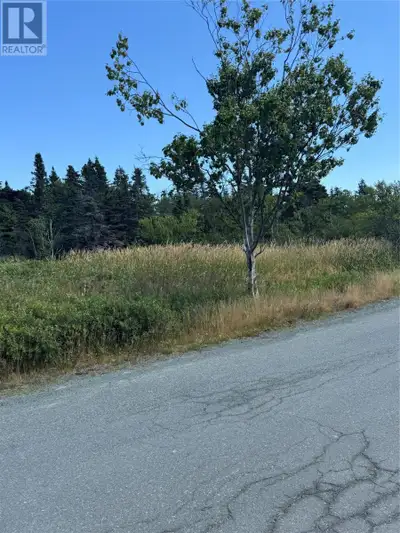 Located in the beautiful town of Torbay just minutes from St. John's, major hospitals, medical compl...